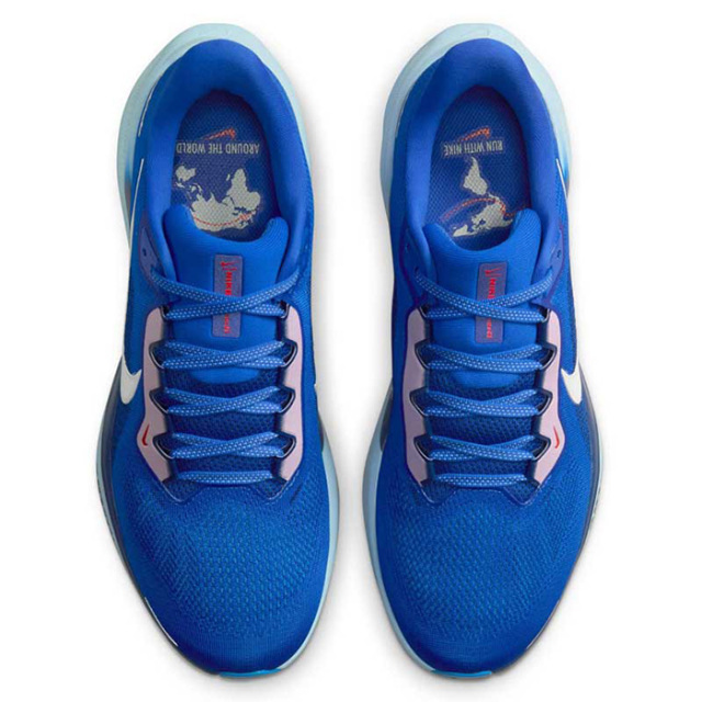 ナイキ ペガサス 41 BRS PACK メンズ ロード ランニングシューズ HQ1717-400