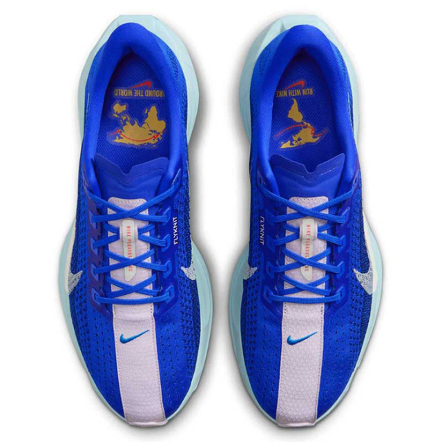 ナイキ ペガサス プラス BRS PACK メンズ ロード ランニングシューズ HQ1719-400