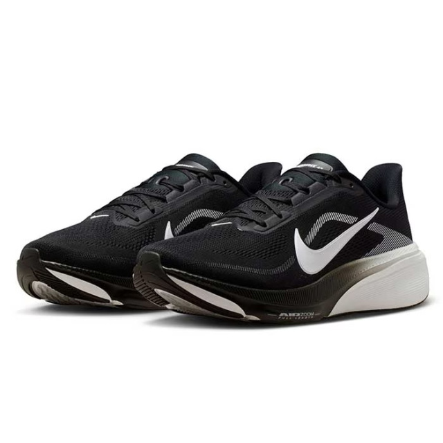 ササクラスポーツ通販｜ナイキ ペガサス 42 IB1873-001