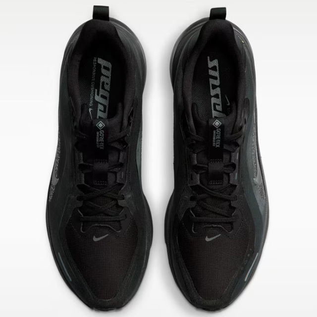 ナイキ ペガサス 42 GORE-TEX IQ0450-005