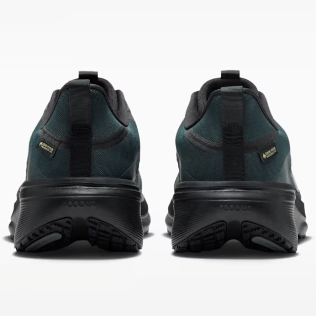 ナイキ ペガサス 42 GORE-TEX IQ0450-005