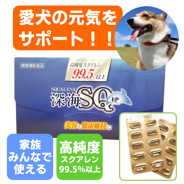 愛犬の健康サプリ　深海SQスクアレン