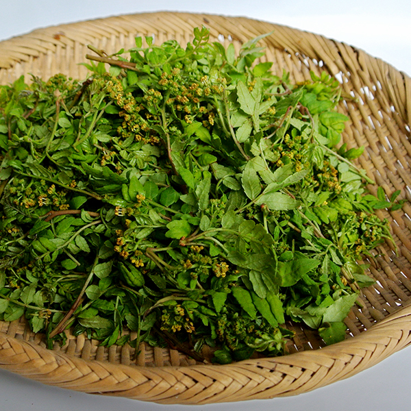 木の芽　山椒 柏崎商店「木の芽山椒ビン詰め65g」のお取り寄せ（通販）口コミ