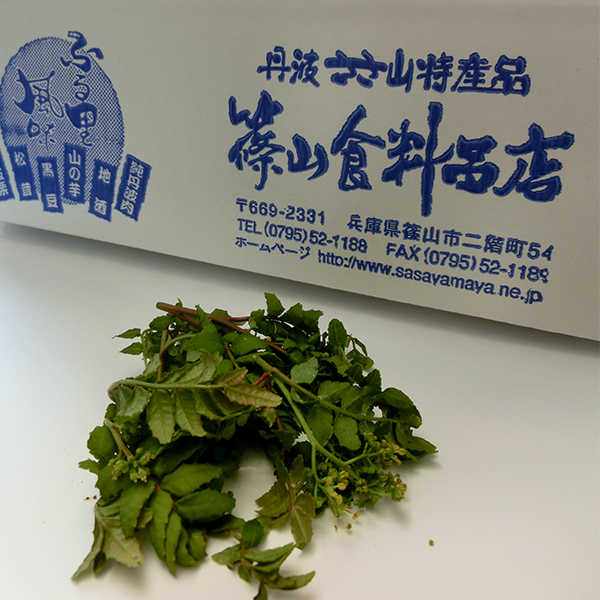 木の芽（山椒）丹波篠山産の通販／丹波篠山食料品店