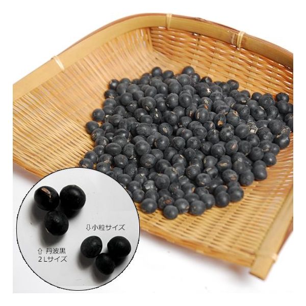 黒豆アウトレット