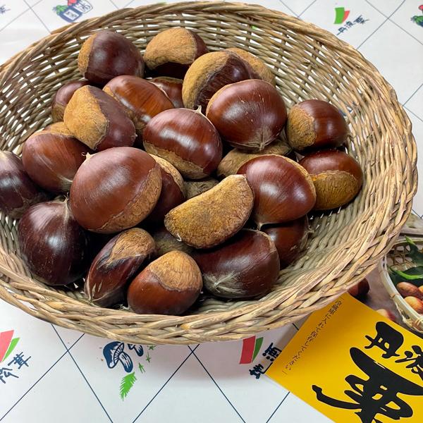 丹波篠山産 丹波栗（大粒２L・３L）１kg