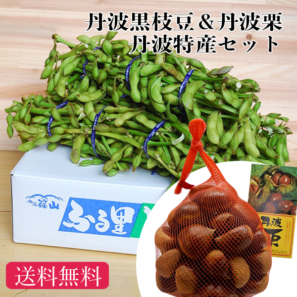 丹波黒枝豆(束)と丹波栗セット【出荷時期10月15日~10月22日まで】