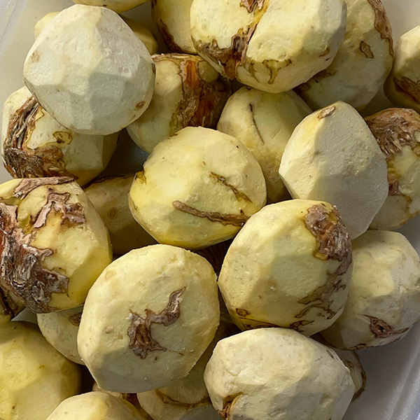 丹波栗（丹波篠山産）大粒の販売・通販ページ／丹波篠山食料品店