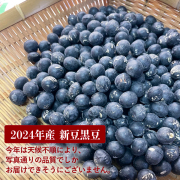 黒豆2024