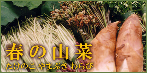 山菜