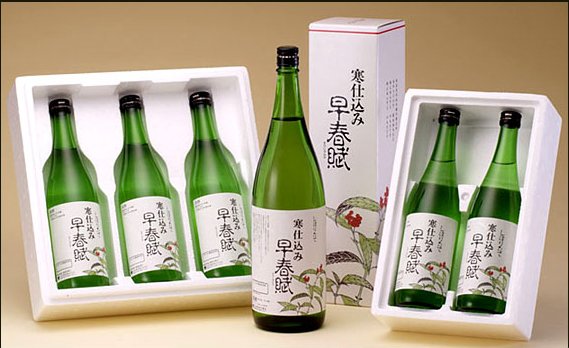 早春賦　限定酒