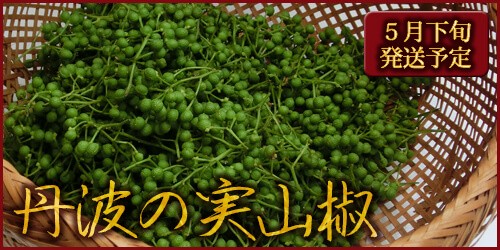 実山椒　生