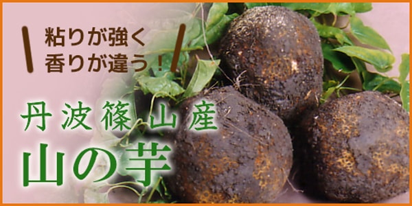 丹波黒豆、黒枝豆、山椒、木の芽、旬の食材を販売｜丹波篠山の特産品