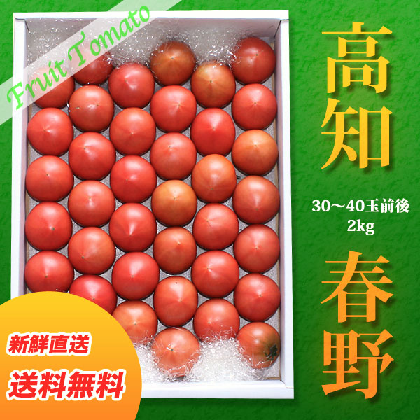 フルーツトマト 高知県春野町産 2kg さとのわ