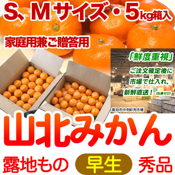 【送料無料】生産者厳選・山北みかん・露地もの・早生・秀品（家庭用兼ご贈答用＝上級品）・5kg箱・S～Mサイズ