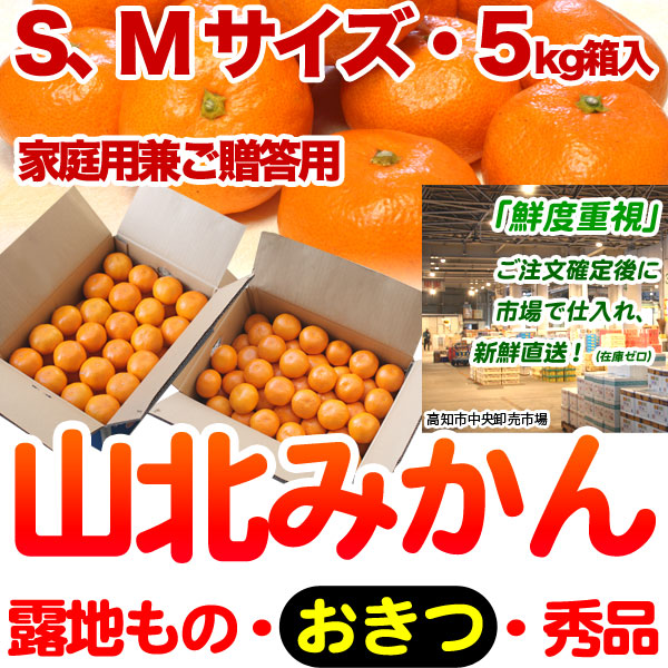 生産者厳選・山北みかん・露地もの・興津（おきつ）・秀品（家庭用兼ご贈答用＝上級品）・5kg箱・S～Mサイズ【送料無料（関東～九州）】