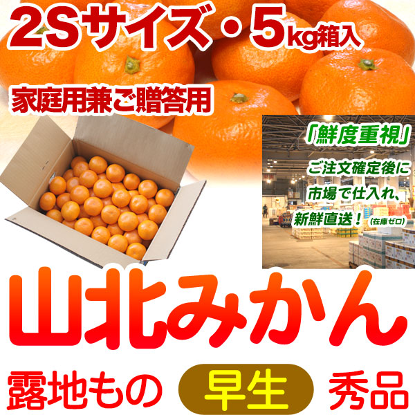 【送料無料】生産者厳選・山北みかん・露地もの・早生・秀品（家庭用兼ご贈答用＝上級品）・5kg箱・2Sサイズ