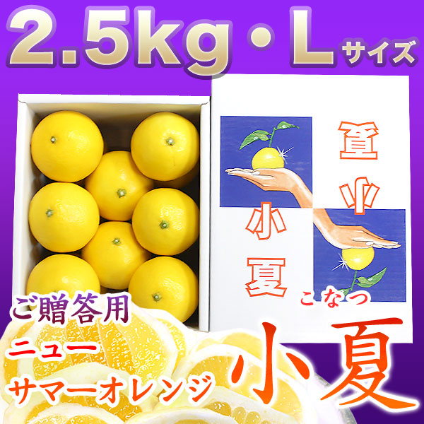 土佐小夏（高知県産）・山波（やまなみ）・ダイヤ・一般ご贈答用・小箱（約2.5kg）・Lサイズ【送料無料】