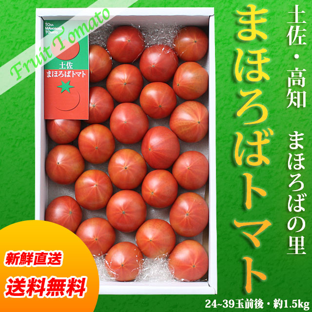 土佐まほろばトマト（特選品）・約1.5kg箱（24～39玉前後入り）南国高知の極上フルーツトマト【送料無料】