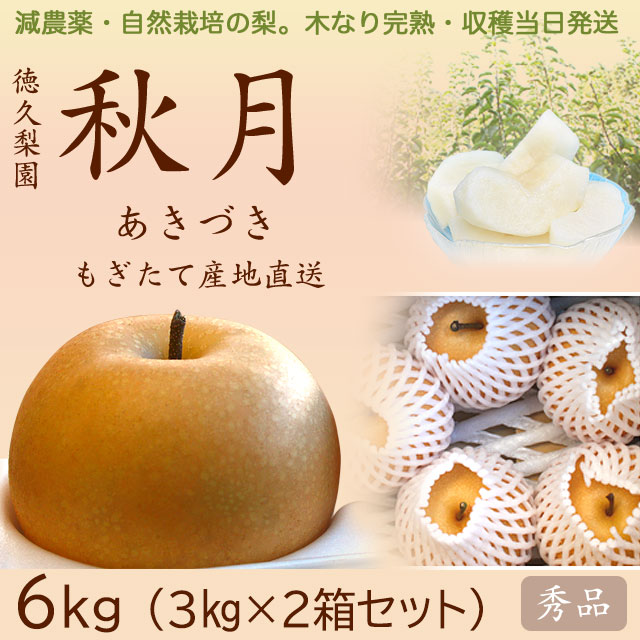 【木なり完熟・もぎたて】秋月（あきづき）梨（なし）・秀品・6kg(3kg×2箱セット)・厳選農家の産地直送