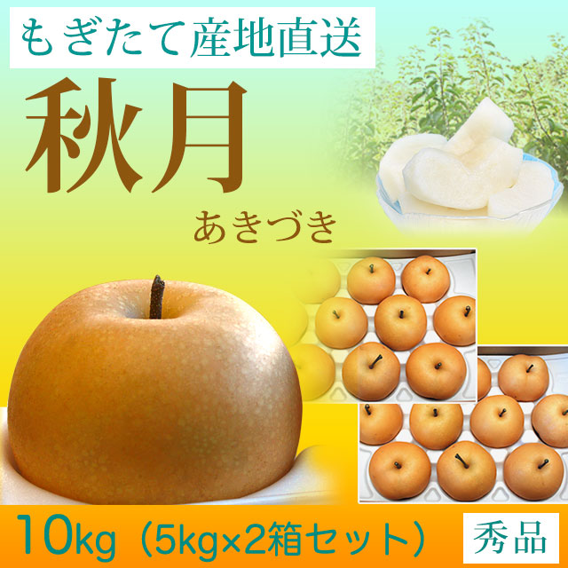 秋月（あきづき）梨（なし）・秀品・10kg(5kg×2箱セット)・厳選農家のもぎたて・産地直送