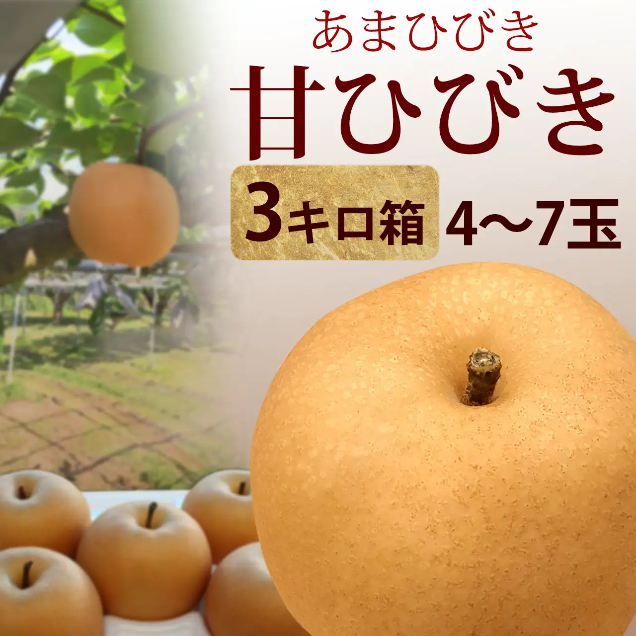 甘ひびき・秀品・3kg・4玉～8玉前後入・厳選農家のあまひびき・梨（なし）産地直送