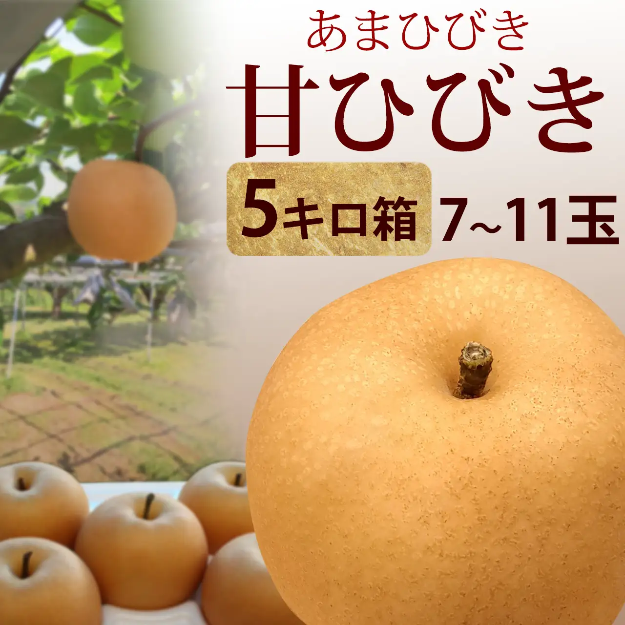 甘ひびき・秀品・5kg・7玉～11玉前後入・厳選農家のあまひびき・梨（なし）産地直送
