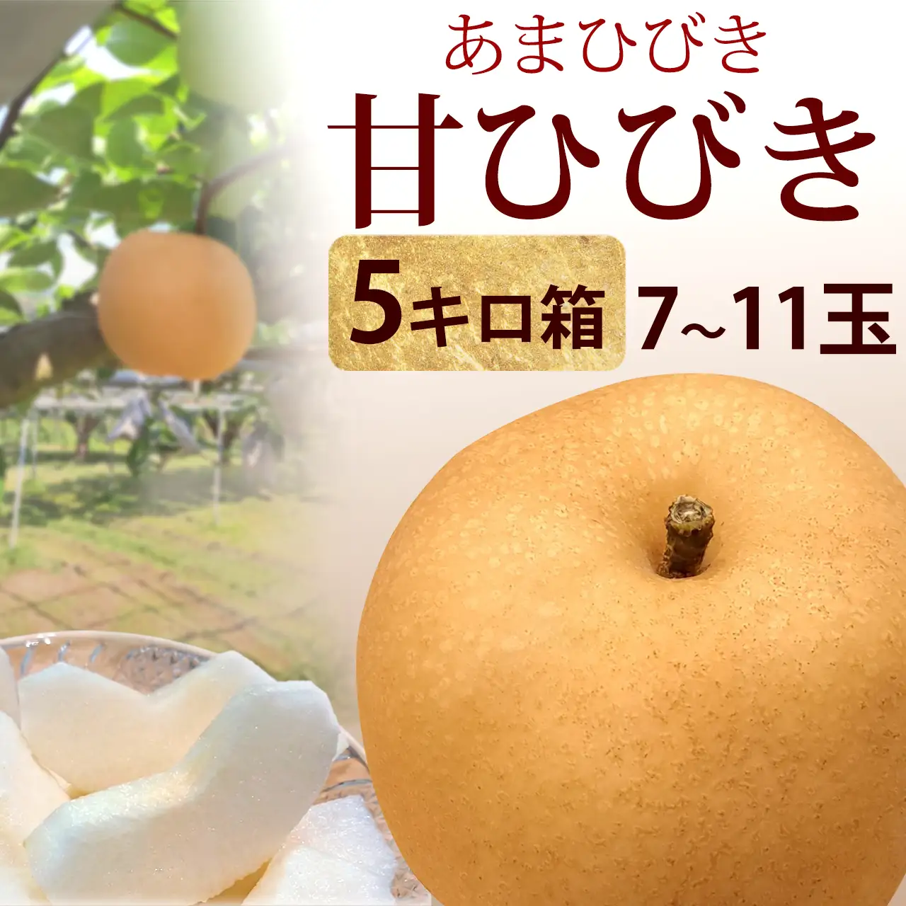 甘ひびき・秀品・5kg・7玉～11玉前後入・厳選農家のあまひびき・梨（なし）産地直送