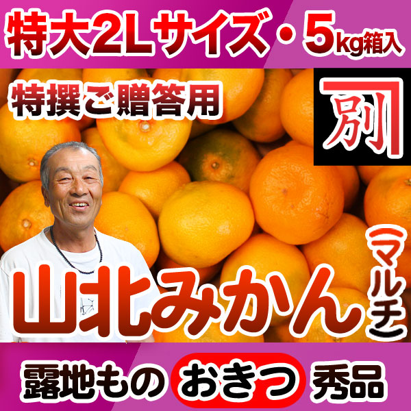 別役さんちの山北マルチ栽培みかん・露地もの・興津（おきつ）・秀品（特撰ご贈答用）・5kg・特大2Lサイズ【産地直送】