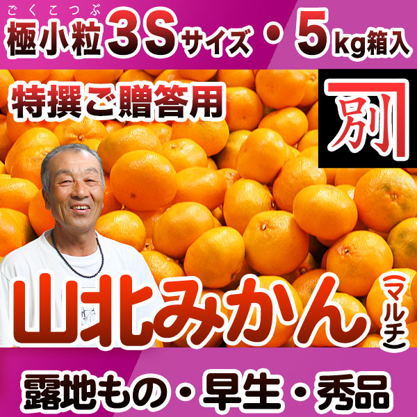【産地直送】別役さんちの山北マルチ栽培みかん・露地もの・早生・秀品（特撰ご贈答用）・5kg・極小粒3Sサイズ【送料無料（関東～九州）】
