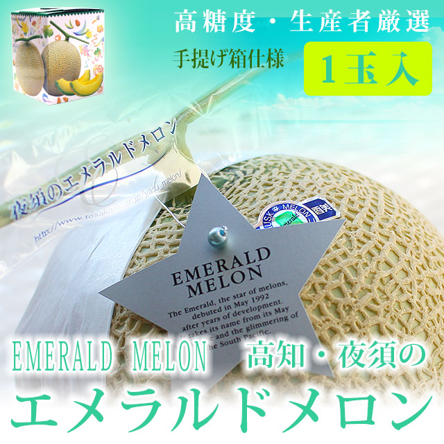 高知・夜須エメラルドメロン（秀品）・特撰ご贈答用・１玉（手提げ箱仕様・包装不可）【送料無料（関東～九州）】