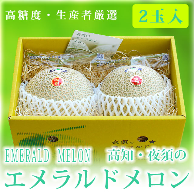 高知・夜須のエメラルドメロン・特撰ご贈答用・２玉入【送料無料（関東～九州）】