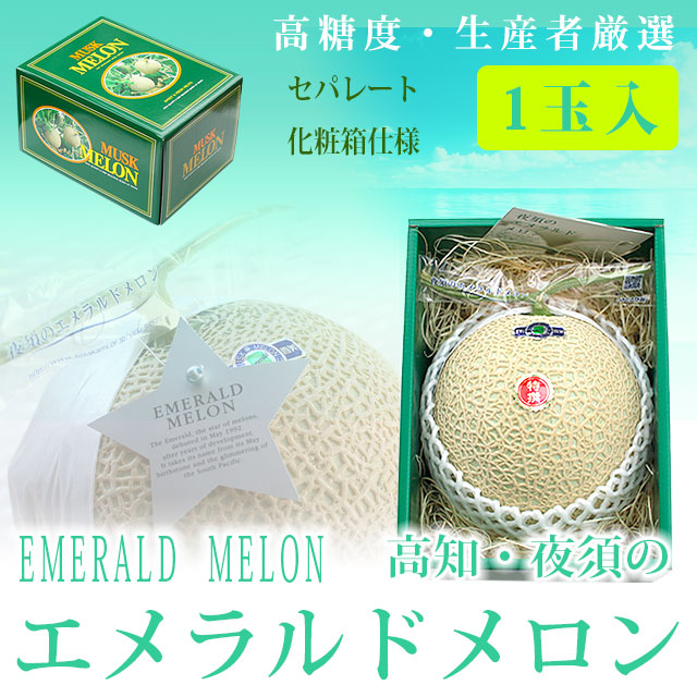 高知・夜須エメラルドメロン（秀品）・特撰ご贈答用・１玉（セパレートタイプ専用化粧箱仕様）【送料無料（関東～九州）】
