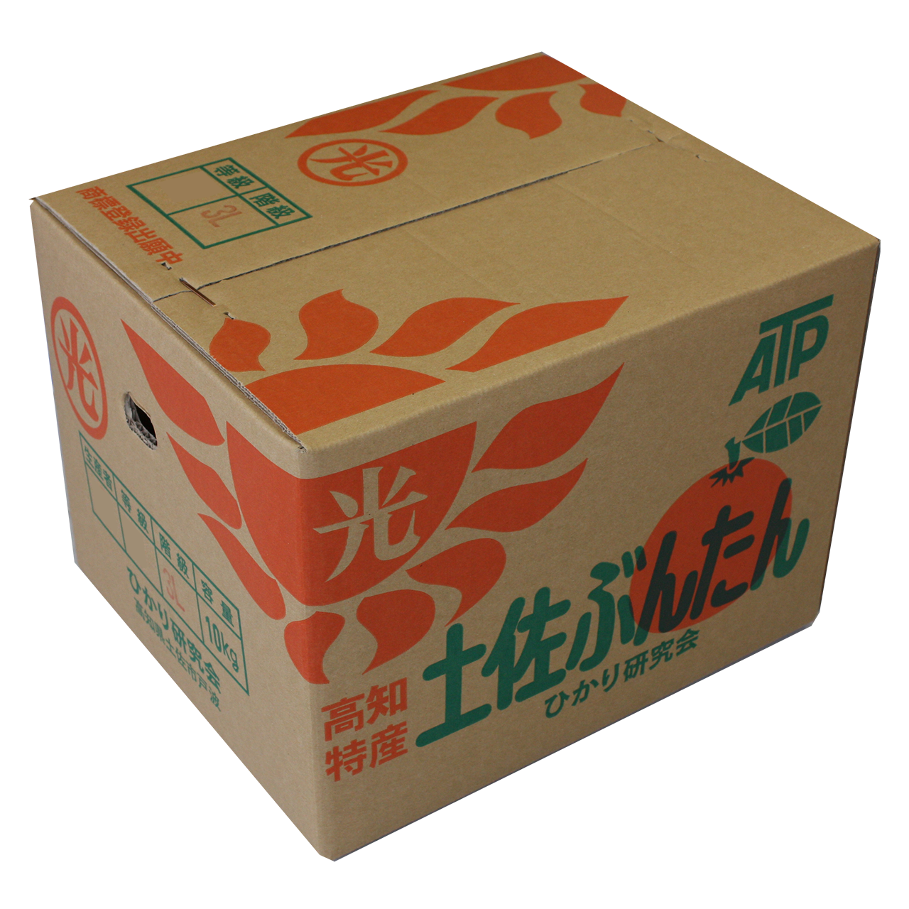 土佐ぶんたん 光研究会 10kg箱
