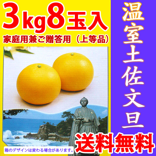 温室土佐文旦（ハウス栽培品）・家庭用兼ご贈答用（上等品）・3kg・8玉入【送料無料】