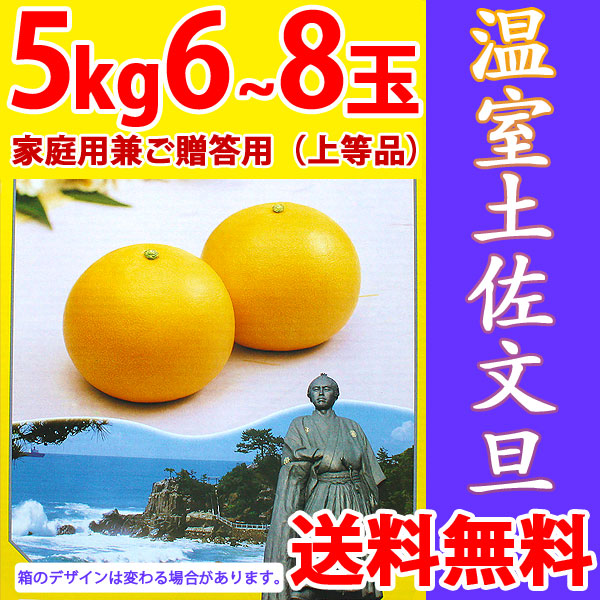 温室土佐文旦（ハウス栽培品）・家庭用兼ご贈答用（上等品）・5kg・6～8玉入【送料無料（関東～九州）】