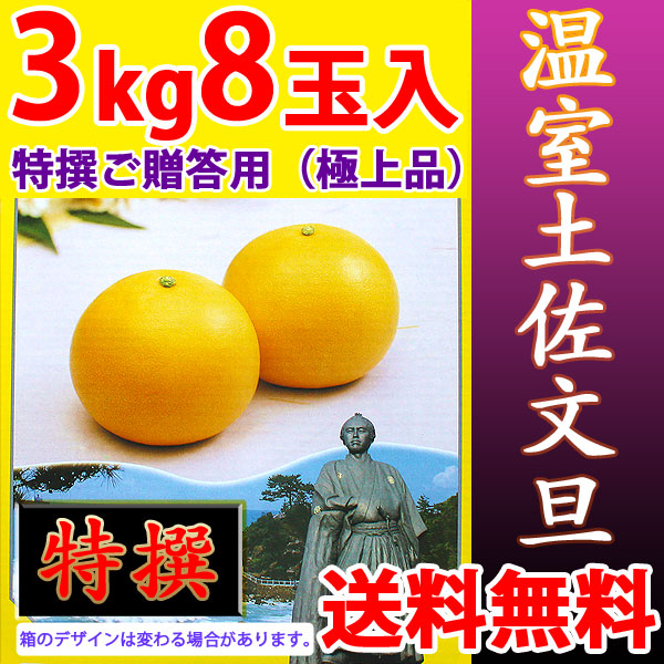 温室土佐文旦（ハウス栽培品）・特撰ご贈答用（極上品）・3kg・8玉入【送料無料】