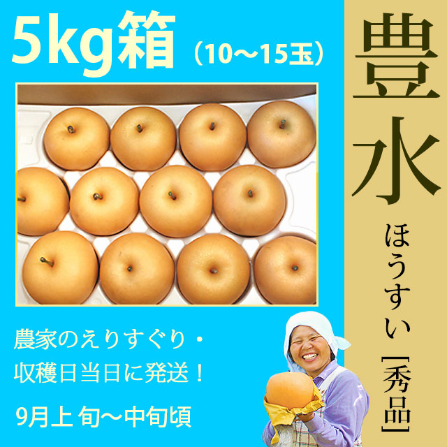 豊水（ほうすい）梨（なし）・秀品・5kg・10～15玉・厳選農家のもぎたて・産地直送