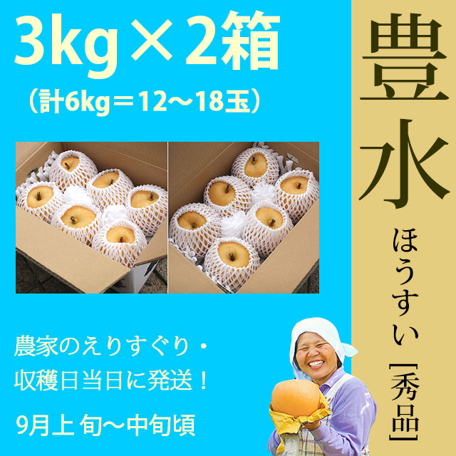 豊水梨・秀品・6kg（3kg×2箱セット）計10～18玉・厳選農家のもぎたて・産地直送