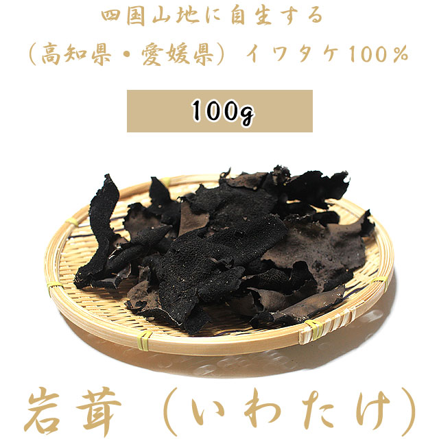【送料無料】岩茸（いわたけ）・四国山地・石鎚山系などのイワタケ（高知県産・愛媛県産）・100g