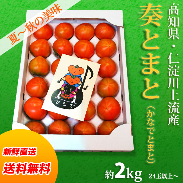 奏（かなで）とまと・高知県仁淀川上流域産・約2kg（24玉位～）・ご贈答用・夏から秋の味濃厚トマト【送料無料（関東～九州）】