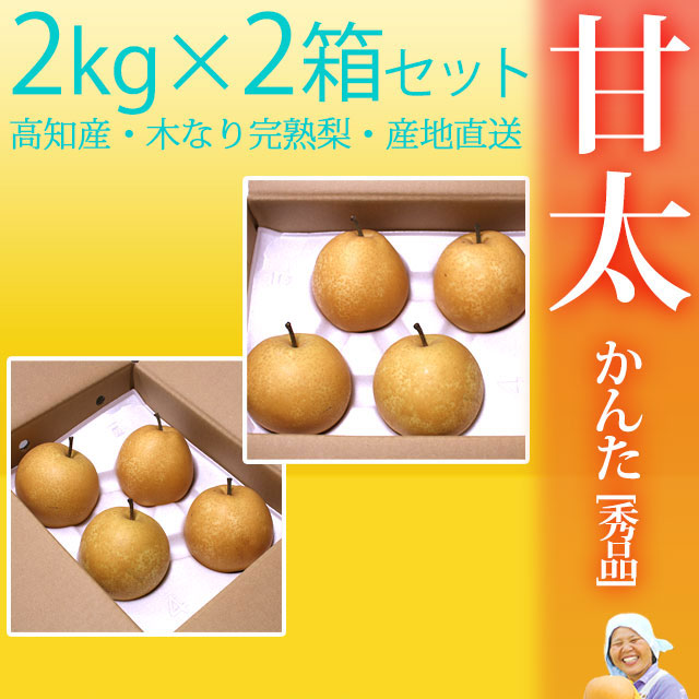 甘太（かんた）梨（なし）・秀品・2kg×2箱セット（合計8～12玉前後入）・厳選農家のもぎたて・産地直送