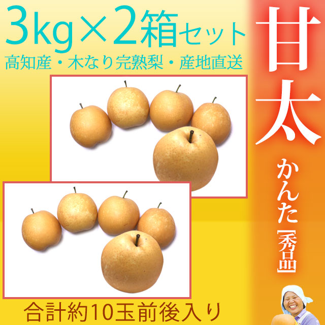 甘太（かんた）梨（なし）・秀品・3kg×2箱セット（合計10玉前後入）・木なり完熟