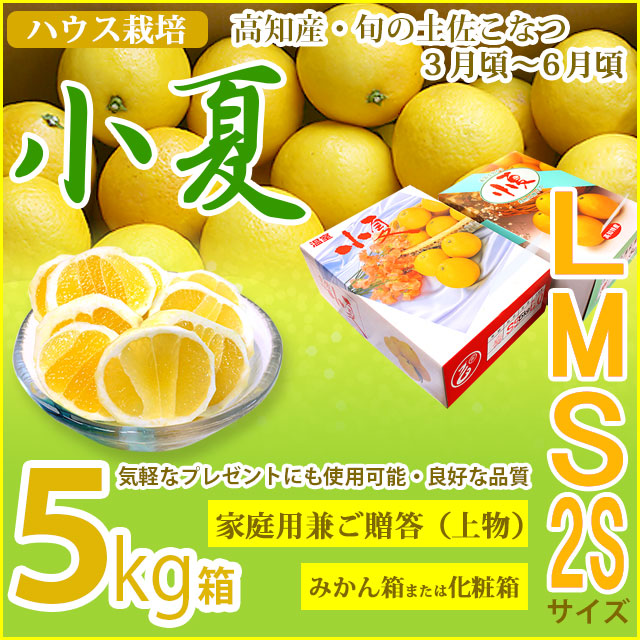 みんなの土佐小夏・家庭用兼ご贈答用（上物）・大箱（5kg）・2S、S、M、Lサイズ・高知県産・ハウス栽培の小夏