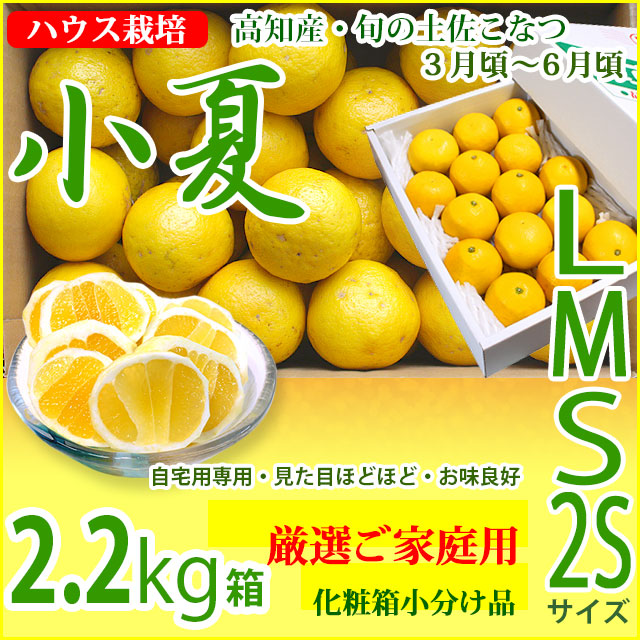 みんなの土佐小夏・厳選ご家庭用・小箱（約2.2kg）・2S、S、M、Lサイズ・高知県産・ハウス栽培の小夏