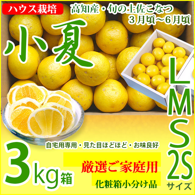 みんなの土佐小夏・厳選ご家庭用・中箱（3kg）・2S、S、M、Lサイズ・高知県産・ハウス栽培の小夏