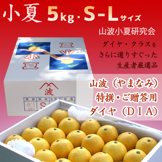 土佐小夏（高知産・ハウス小夏）・山波小夏研究会の選りすぐり厳選品・特撰ご贈答（ダイヤ以上）・大箱（約5kg）S、M、Lサイズ