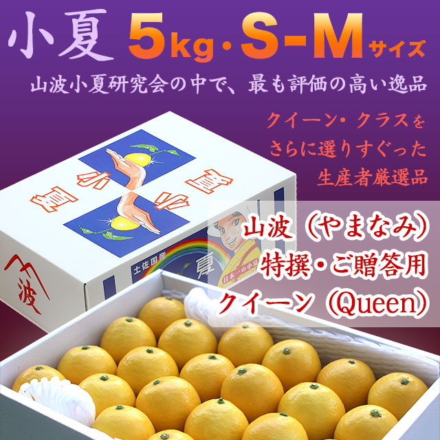 土佐小夏（高知産・ハウス小夏）・山波小夏研究会（やまなみ）選りすぐり生産者厳選品・特撰ご贈答（クイーン）・大箱（約5kg）・S-Mサイズ【送料無料（関東～九州）】