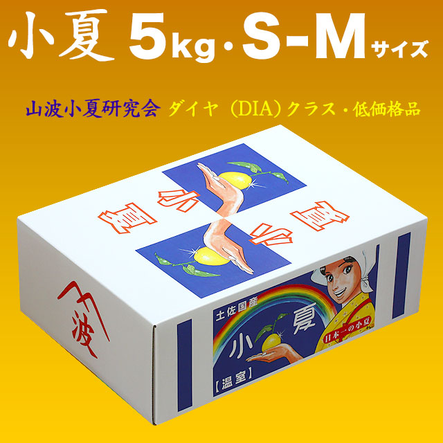 土佐小夏・山波小夏研究会（やまなみ）・ダイヤ（低価格品）・大箱（約5kg）・S-Mサイズ【送料無料】