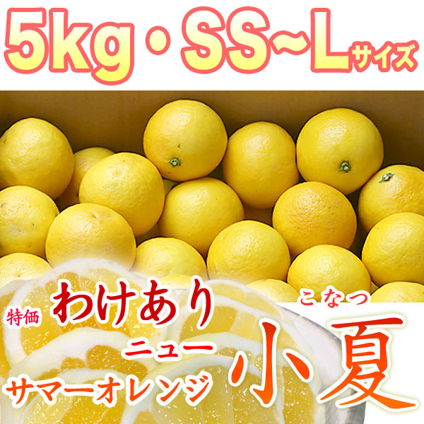 【限定販売】土佐小夏（とさこなつ）・高知県産・特価わけあり品・大箱（約5kg）・SS～Lサイズ【送料無料】